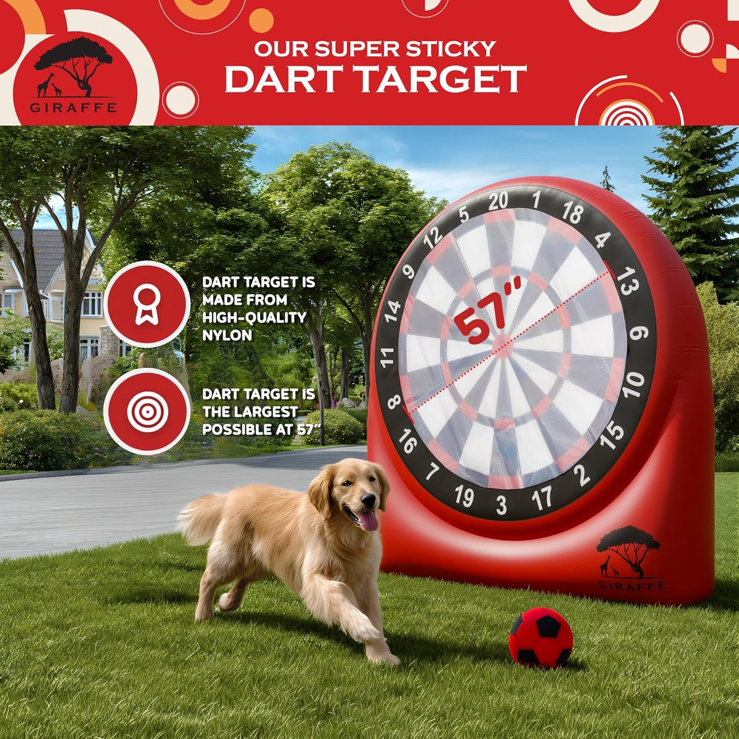 The Recruit Field-Darts