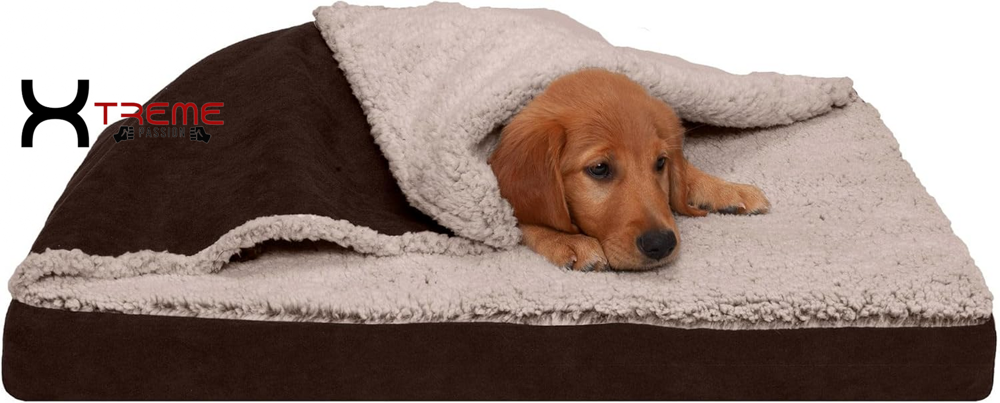 Ultimate Comfort for Your Furry Friend: Large Cooling Gel Dog Bed with Removable Washable Cover - Cozy Berber & Suede Top for Medium to Large Dogs Up to 55 lbs in Stylish Espresso