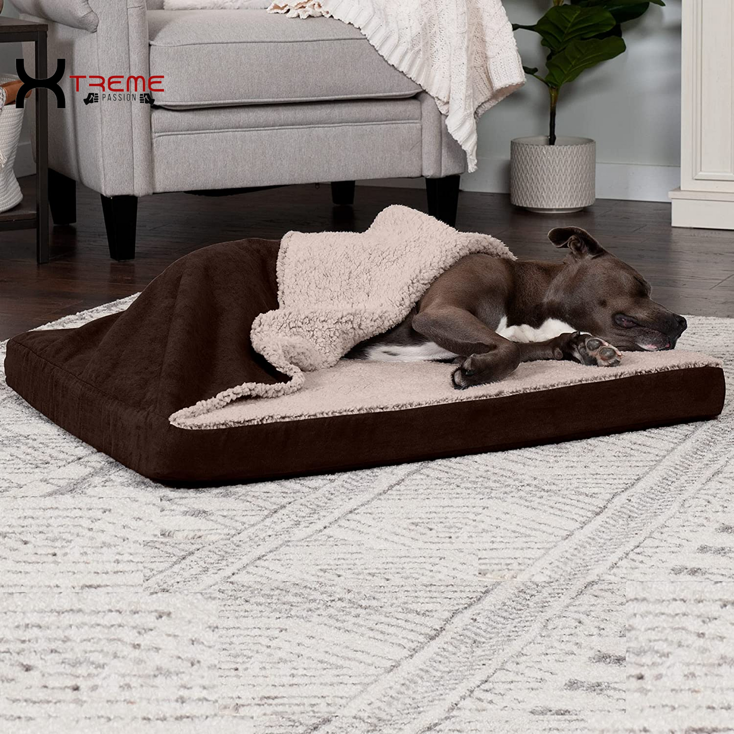 Ultimate Comfort for Your Furry Friend: Large Cooling Gel Dog Bed with Removable Washable Cover - Cozy Berber & Suede Top for Medium to Large Dogs Up to 55 lbs in Stylish Espresso