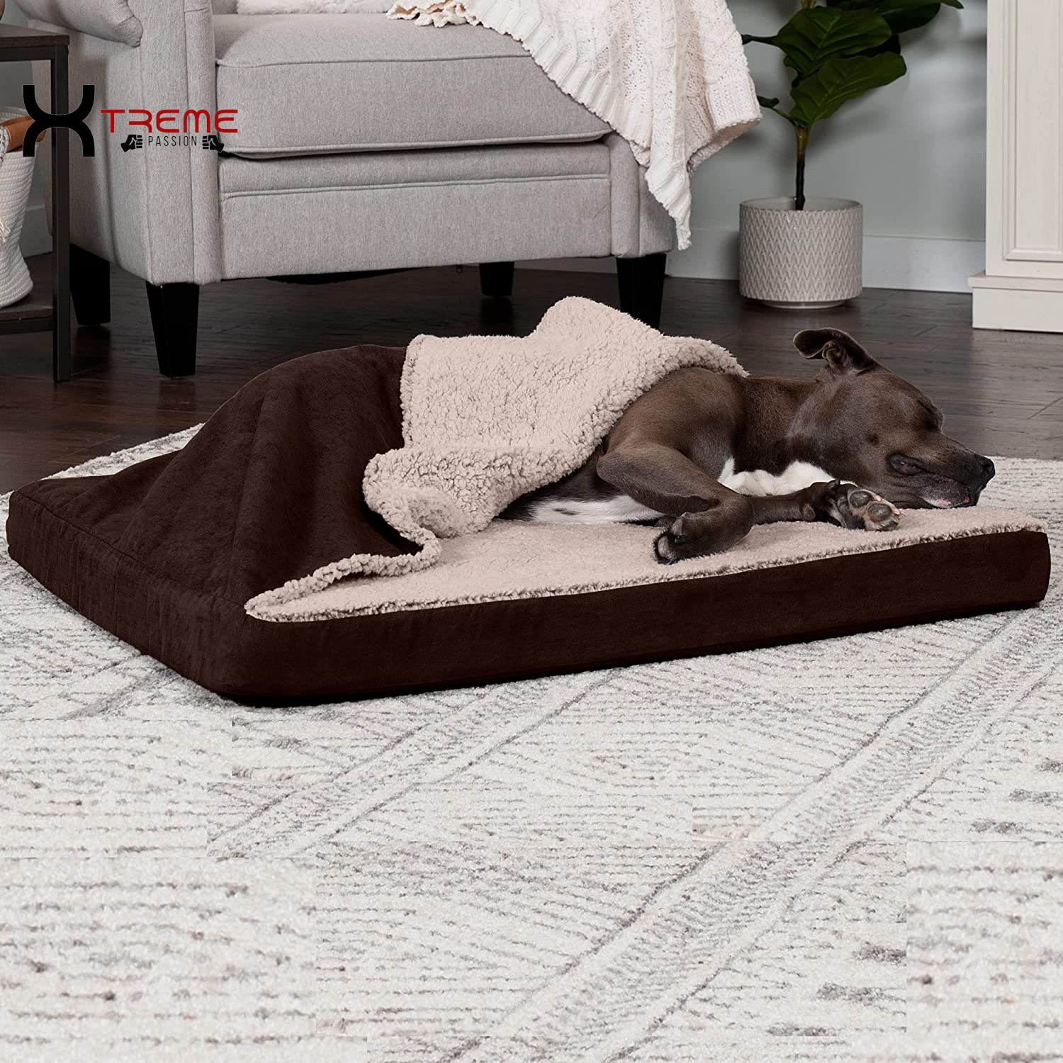 Ultimate Comfort for Your Furry Friend: Large Cooling Gel Dog Bed with Removable Washable Cover - Cozy Berber & Suede Top for Medium to Large Dogs Up to 55 lbs in Stylish Espresso